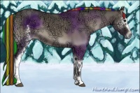 Horse Color:Painted White Spotted Grullo Ice Onyx 