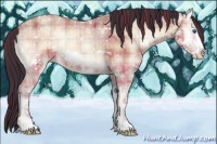 Horse Color:Plaid  White Spotted Sable Champagne Ice Onyx Frame 