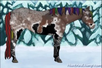 Horse Color:Painted White Spotted Bay Ice Frame Rabicano 