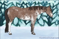 Horse Color:White Spotted Bay Ice 