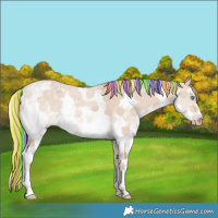 Horse Color:Painted Perlino Ice Sabino 