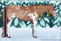 Horse Color:Painted White Spotted Bay Ice Rabicano 