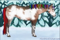 Horse Color:Painted Bay Onyx Frame 