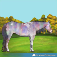 Horse Color:Nacre Brown Onyx Tobiano