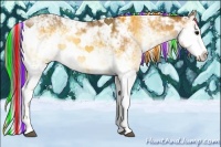 Horse Color:Painted Buckskin Onyx Sabino Rabicano 