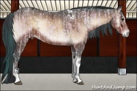 Horse Color:Watercolor Brown Ice Onyx Tobiano  and Painted Brown Ice Onyx Tobiano 