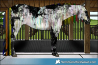 Horse Color:Void Painted Brown Ice Splash Tobiano 