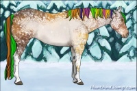 Horse Color:Painted Buckskin Ice Tobiano 