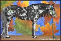 Horse Color:Liver Chestnut Sabino 