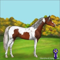 Horse Color:Silver Brown Tobiano 