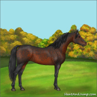 Horse Color:Brown 
