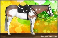 Horse Color:Bay Roan Splash Frame 