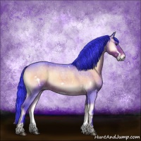 Horse Color:Watercolor White Spotted Liver Red Onyx Roan