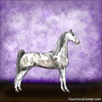 Horse Color:Blue Onyx Sabino Appaloosa 