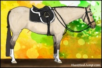 Horse Color:Buckskin Roan Dun 