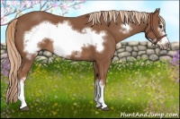 Horse Color:Chestnut Frame 
