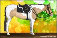 Horse Color:Buckskin Roan Tobiano Rabicano 