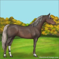 Horse Color:Silver Black 