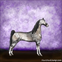 Horse Color:Blue Onyx Ice Appaloosa Rabicano