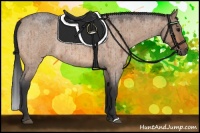 Horse Color:Bay Roan Dun Rabicano Brindle 