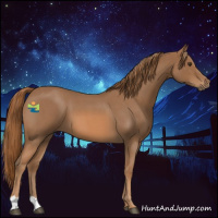 Horse Color:Red Roan 