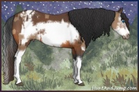 Horse Color:Bay Dun Splash Frame Appaloosa  and Bay Splash Frame Appaloosa 