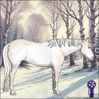 Horse Color:Silver Perlino Roan Frame 