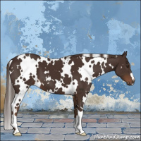 Horse Color:White Spotted Liver Chestnut 