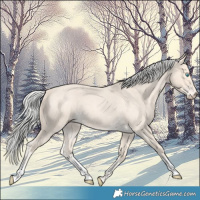 Horse Color:Silver Perlino Roan 