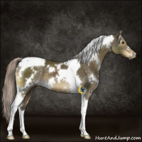 Horse Color:White Spotted Chocolate Palomino Mushroom Tobiano