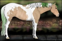 Horse Color:Watercolor Buckskin Tobiano Appaloosa Rabicano 
