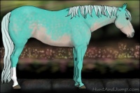 Horse Color:Watercolor Silver Smoky Black 