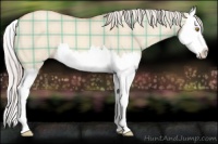 Horse Color:Plaid  Silver Classic Champagne Dun Splash 