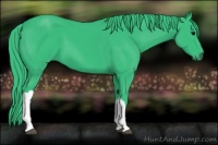 Horse Color:Watercolor Black 