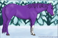 Horse Color:Watercolor Black 