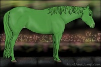 Horse Color:Watercolor Black Appaloosa 