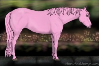 Horse Color:Watercolor Black 