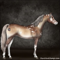 Horse Color:White Spotted Silver Bay Onyx