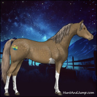 Horse Color:Chocolate Palomino Mushroom Tobiano Rabicano 