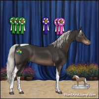 Horse Color:Liver Chestnut Mushroom Tobiano 