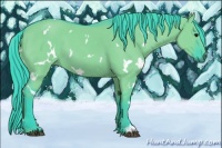 Horse Color:Watercolor White Spotted Grullo 