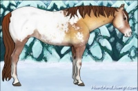 Horse Color:Red Onyx Ice Snowcap 