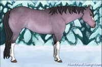 Horse Color:Bay Dun Mushroom 