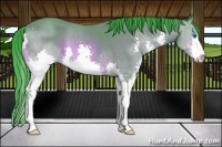 Horse Color:Watercolor Bay Sabino Splash 