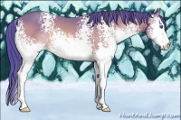 Horse Color:Watercolor White Spotted Brown Splash