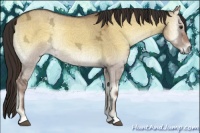 Horse Color:Liver Red Dun Ice Onyx Rabicano 