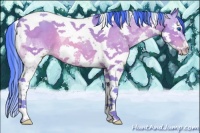 Horse Color:Watercolor Sable Champagne Splash Tobiano 