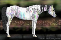 Horse Color:Black Ice Tobiano 