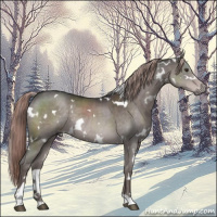 Horse Color:Platinum White Spotted Liver Chestnut Rabicano 