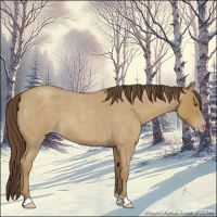Horse Color:Classic Cream Champagne Roan 